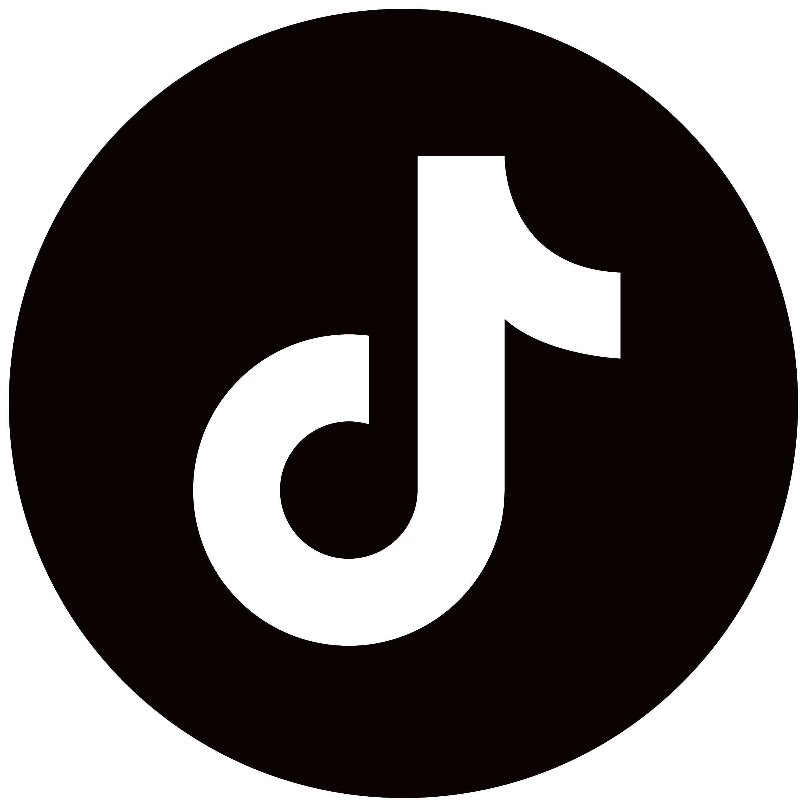 TikTok Logo